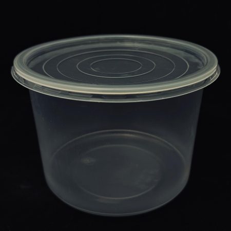 Container 1200ml